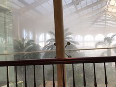 -泰华博悦大酒店