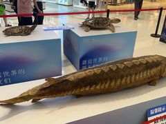 -龙湖南京江北天街