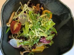 碟舍沙律-蝶舍·MAISON PAPILLON