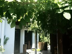-汤宴·参须肚包鸡(南京路店)