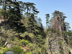 -黄山风景区