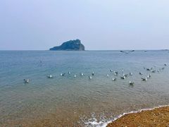 -棒棰岛宾馆景区