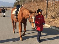 -华彬猛犸滑雪场