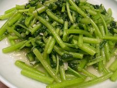茼蒿-7017浙菜•建德味(中财店)