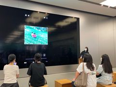 -Apple零售店(深圳益田假日广场店)