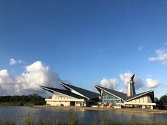 -盐城丹顶鹤湿地生态旅游区
