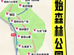 -西双版纳原始森林公园