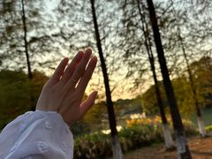 -艾溪湖湿地公园