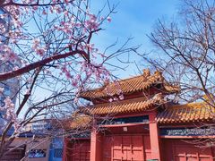 -桃花堤公园