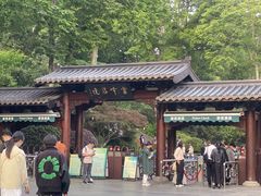 -雷峰塔·藕香居餐厅