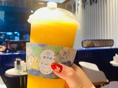 -野萃山·潮汕厚果汁(十亩地店)