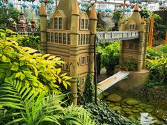 -南宫五洲植物乐园