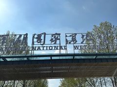 -洋湖国家湿地公园