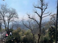 -莫干山风景区