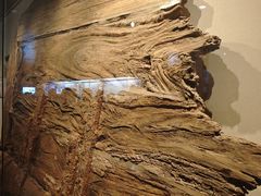 -上海中国航海博物馆