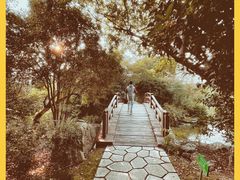 -桃花岛景观公园
