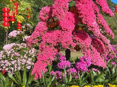 -中国科学院华南植物园
