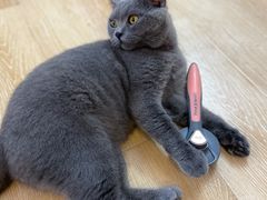 -猫咪派对(江南西店)