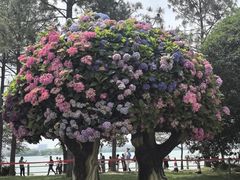 -无锡蠡湖国家湿地公园-蠡园