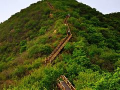 -大岭沟猕猴桃谷风景区