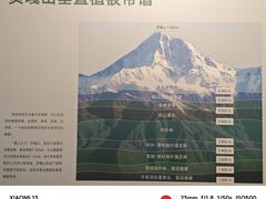 -四川大学博物馆
