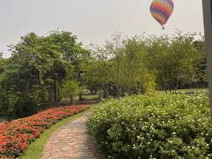 -中国科学院西双版纳热带植物园