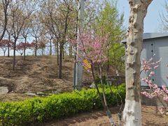 -瀛海足球主题公园