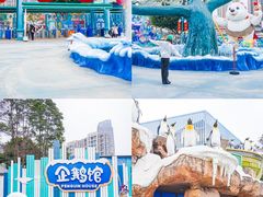 -海合安成都极地海洋公园