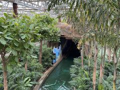 -南宫五洲植物乐园