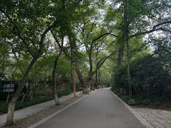 -杭州林泉山庄
