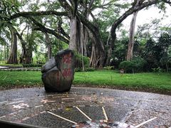 -瑞丽独树成林风景区