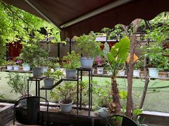 -拈一筷子·宜宾江湖菜(总店)