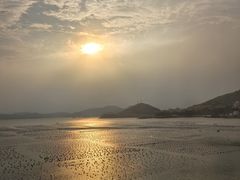 -枸杞岛