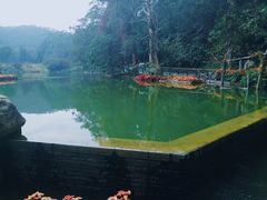 -深圳仙湖植物园-停车场