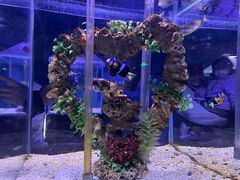 -中央广播电视塔