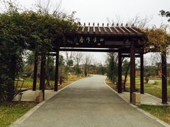 -鹅湖玫瑰文化园