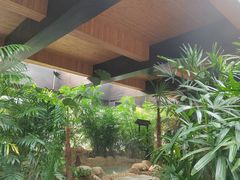 -三江森林温泉度假区