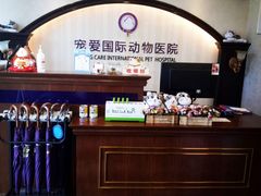 -宠爱国际动物医院·消化内科·心肾内科·ISFM猫友好(望京店)