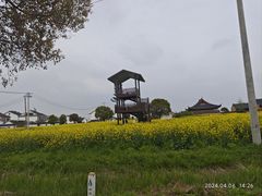 -莲花岛景区
