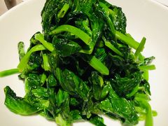 五粮液嫩豆苗-玫瑰厅上海菜(兴国路店)