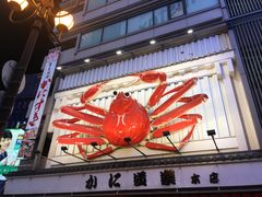 -蟹道乐(道顿堀本店)