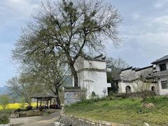-新安江山水画廊风景区