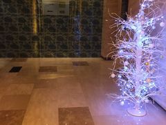 -龙之梦万丽酒店青餐厅