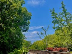 -昆山城市生态森林公园