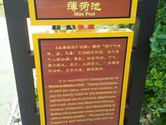 景点-那香海钻石沙滩浴场