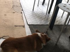 -小梁哥云吞面(黄贝岭店)