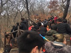 -皇藏峪国家森林公园