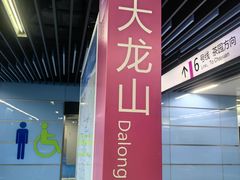 -大龙山(地铁站)