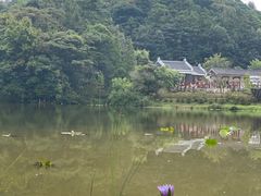 -广州市石门国家森林公园