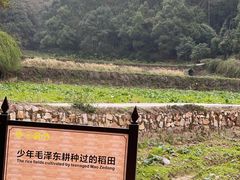 -韶山毛泽东同志故居